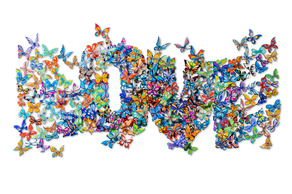 Love Flutters By